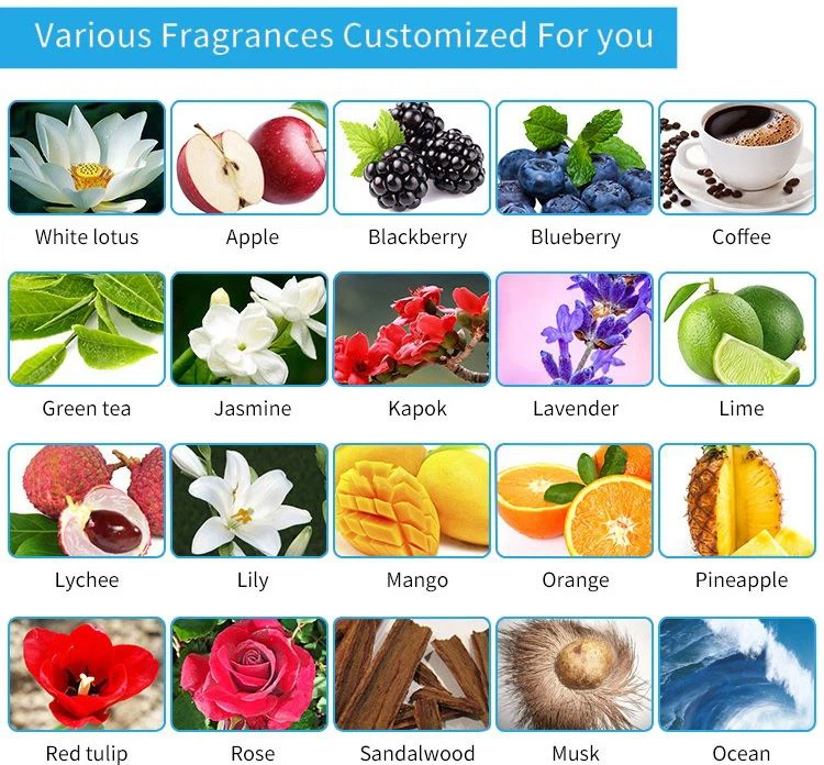 250ml air freshener (12)